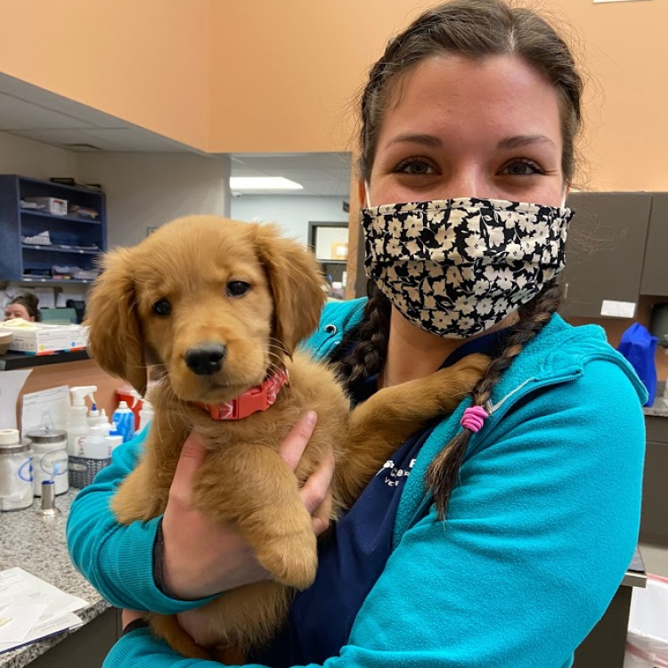 Cherry Ridge Veterinary Clinic Honesdale, PA